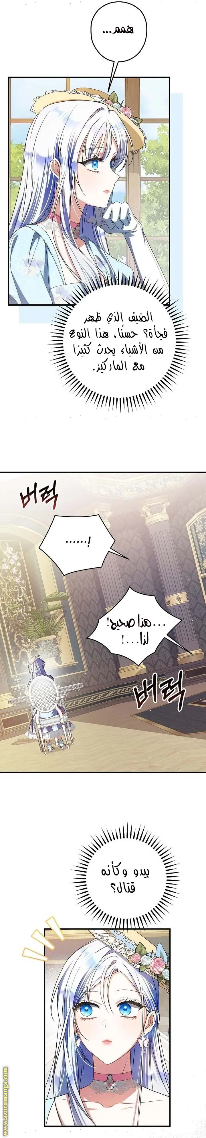 الصفحة 13