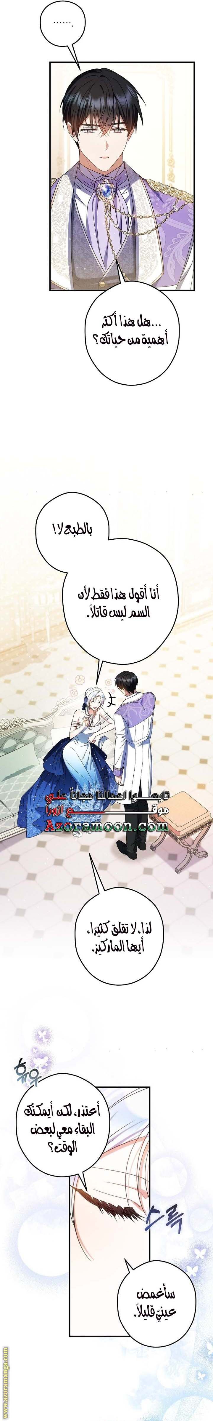 الصفحة 13