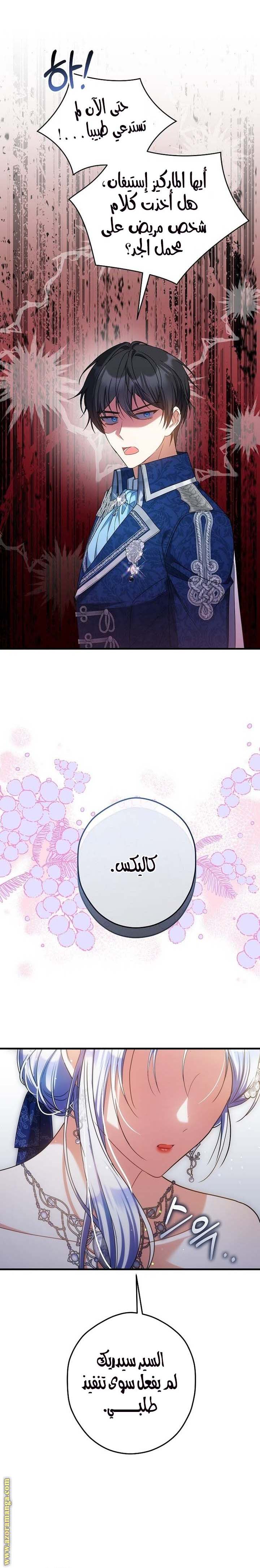 الصفحة 20