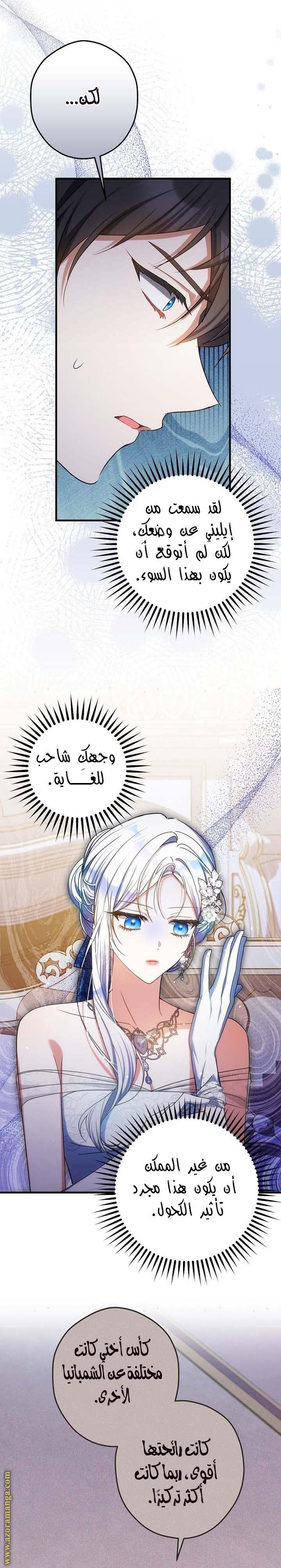 الصفحة 22