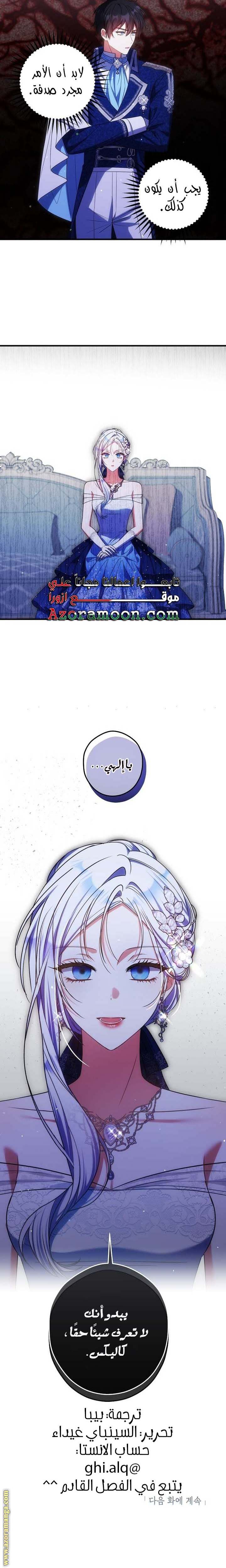 الصفحة 24