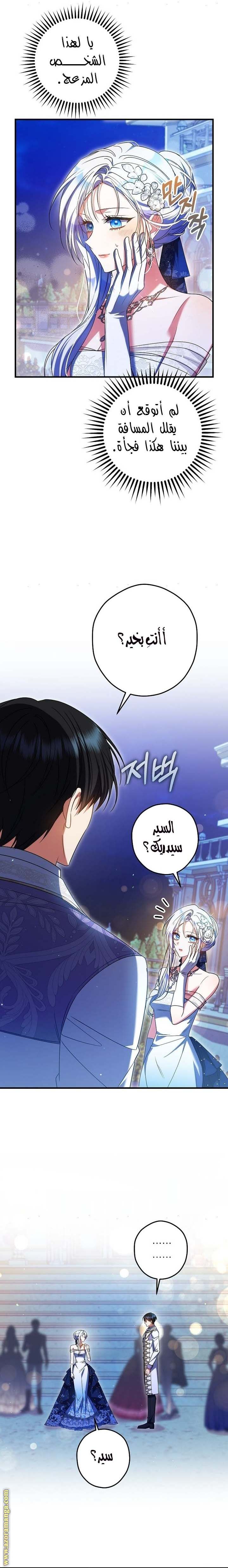 الصفحة 17