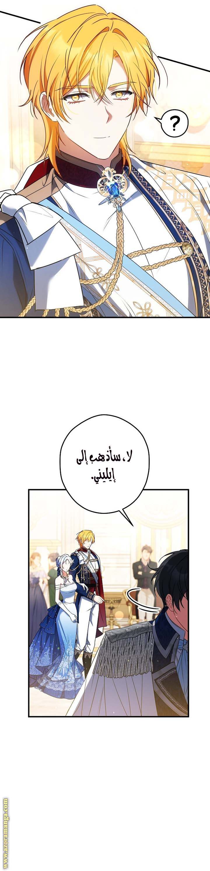 الصفحة 17