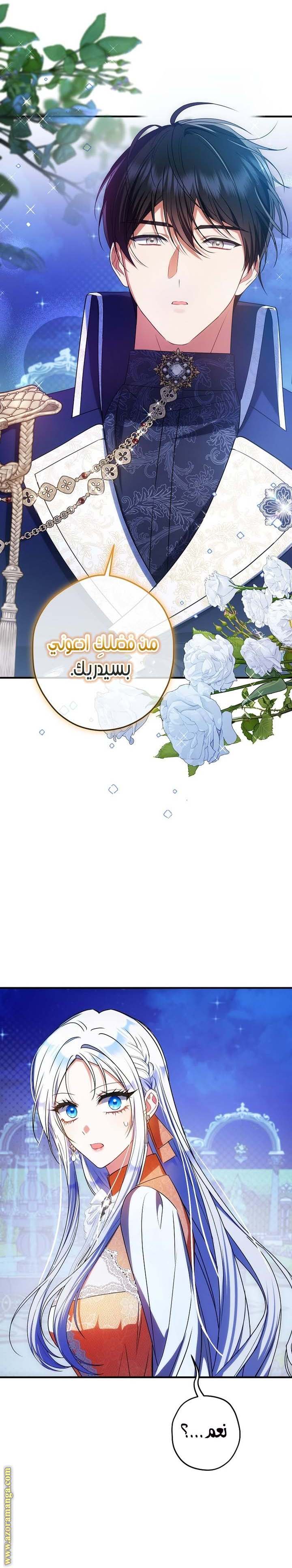 الصفحة 13