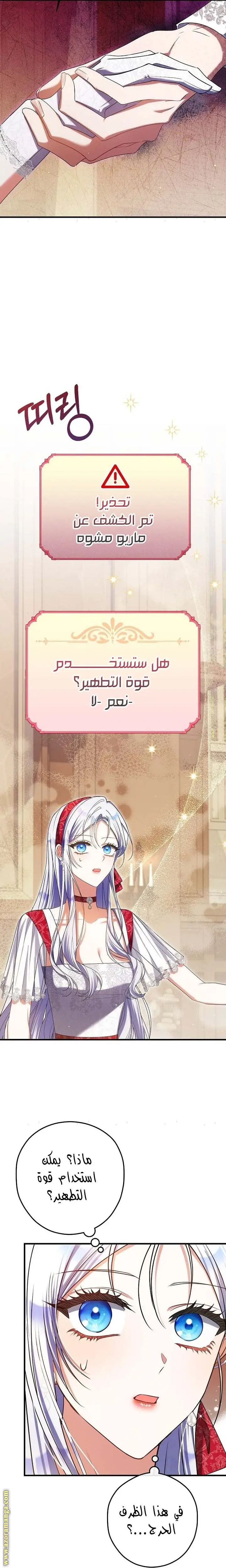 الصفحة 13