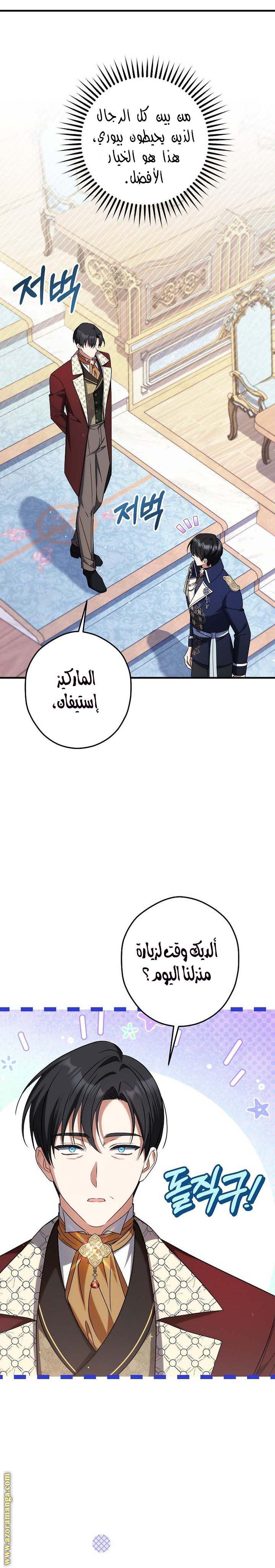 الصفحة 13