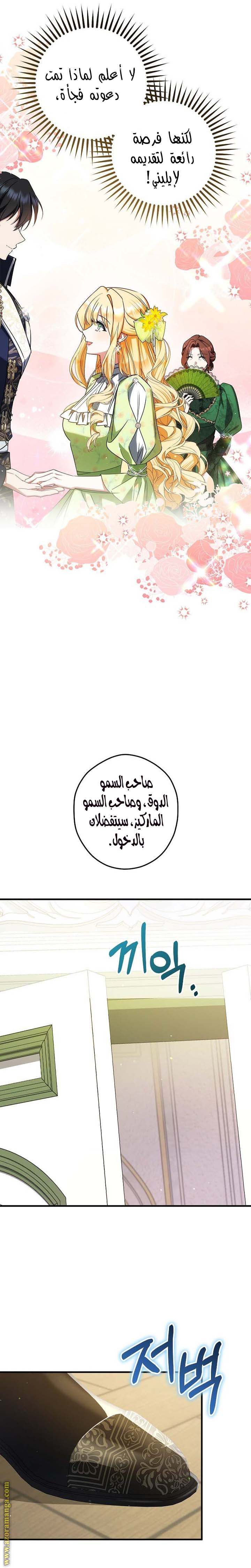 الصفحة 17