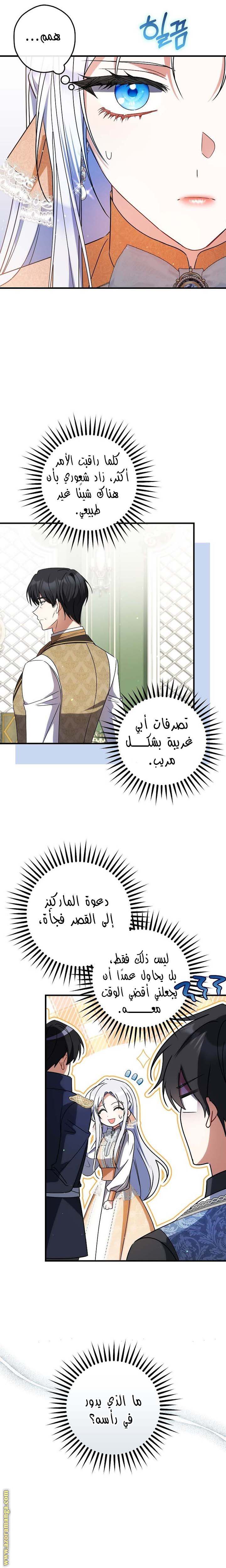 الصفحة 26