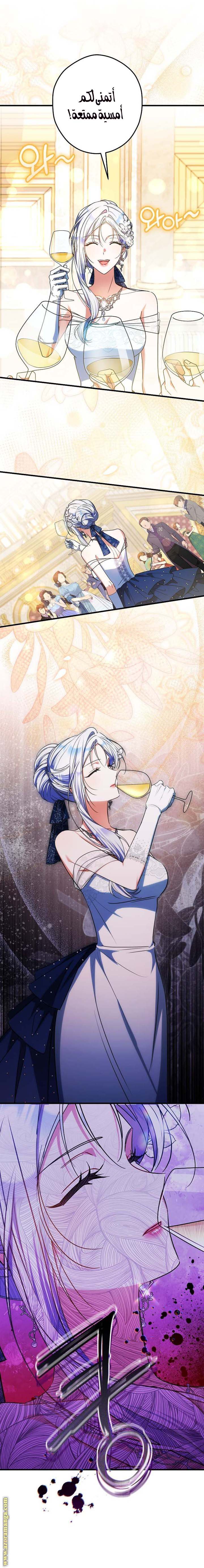 الصفحة 12