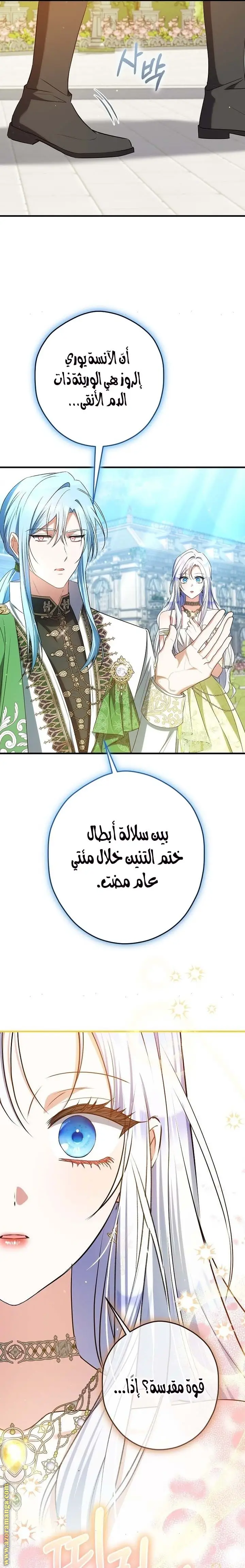 الصفحة 17