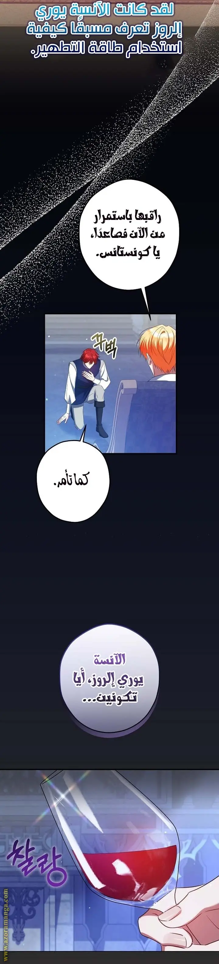 الصفحة 21