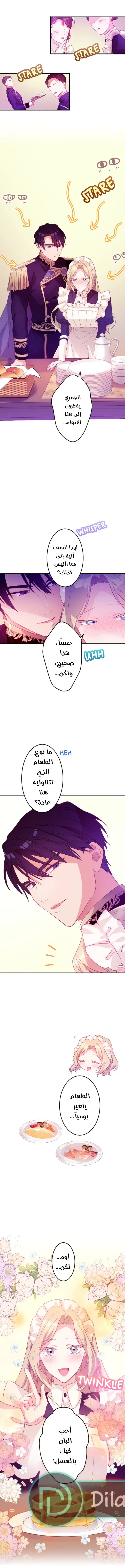 الصفحة 8