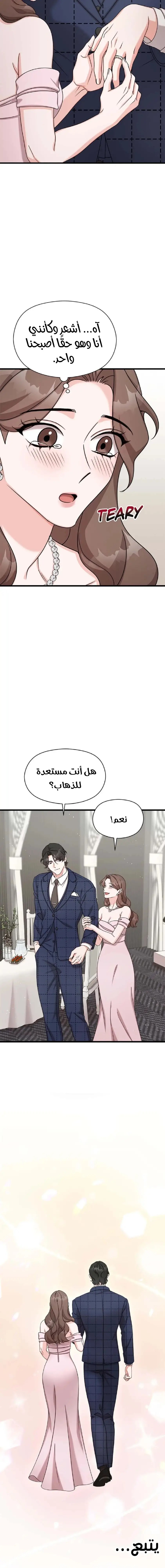 الصفحة 17