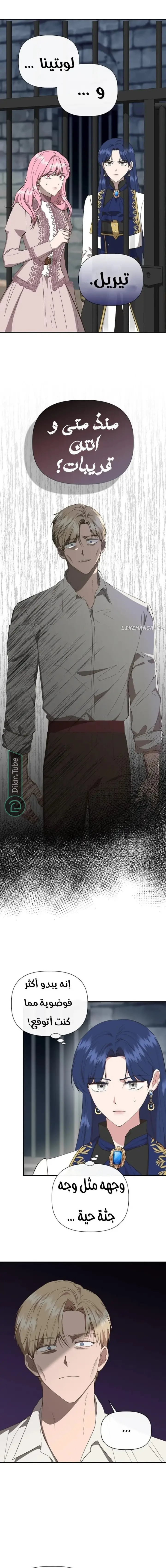 الصفحة 14