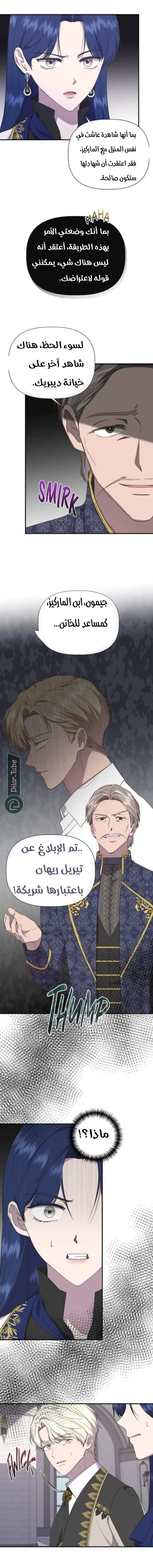 الصفحة 13