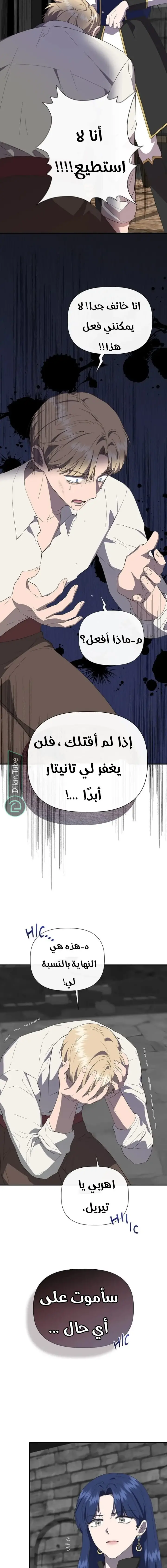 الصفحة 13