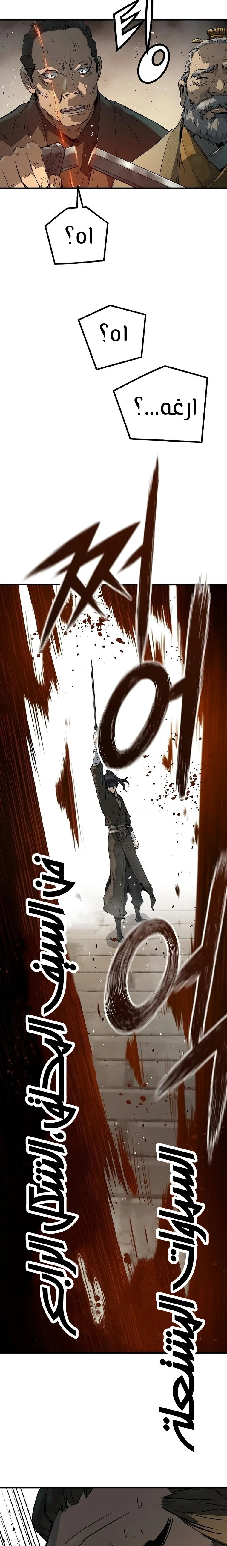 الصفحة 17
