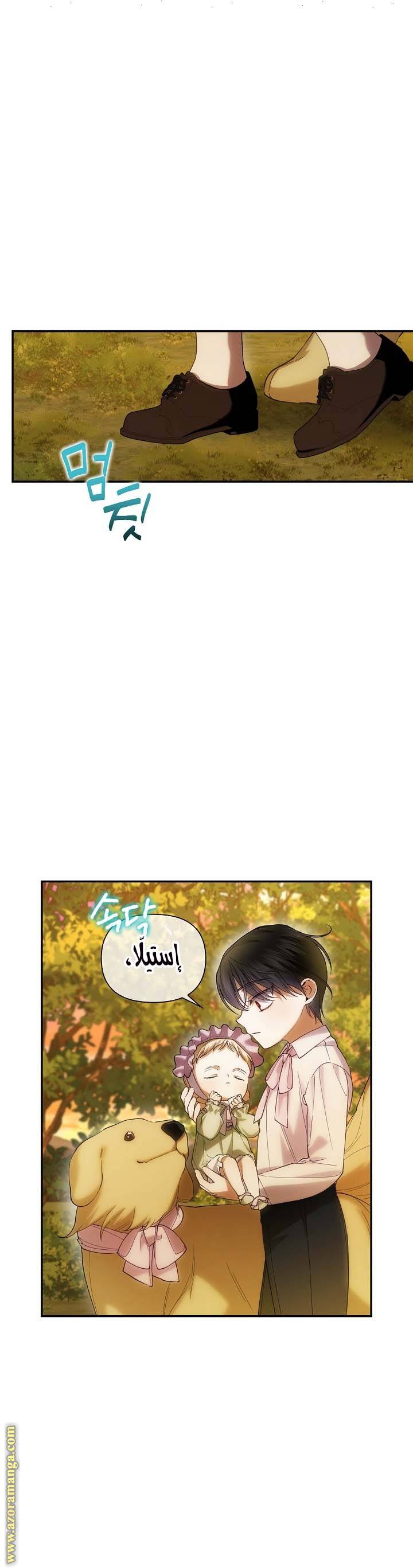 الصفحة 28