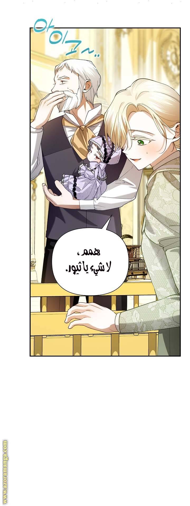 الصفحة 17