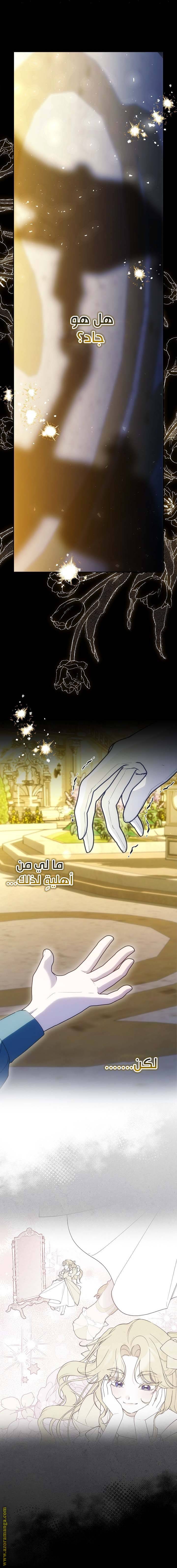 الصفحة 24