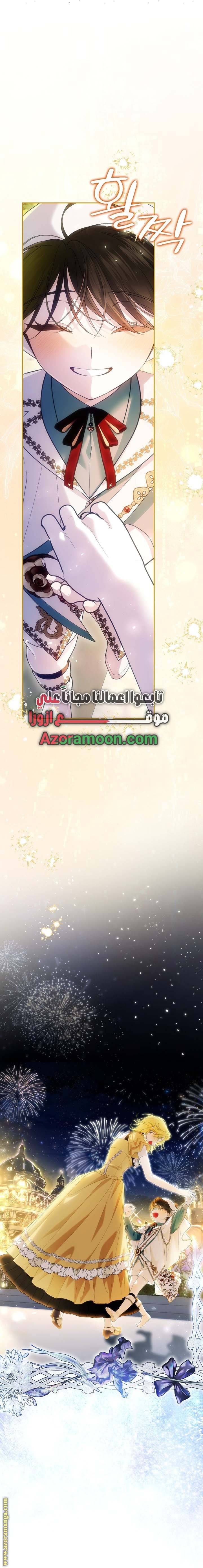 الصفحة 26