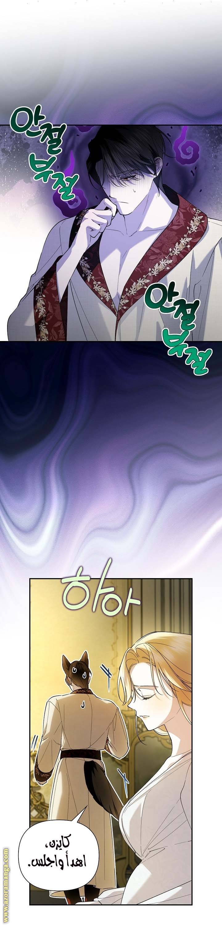 الصفحة 28