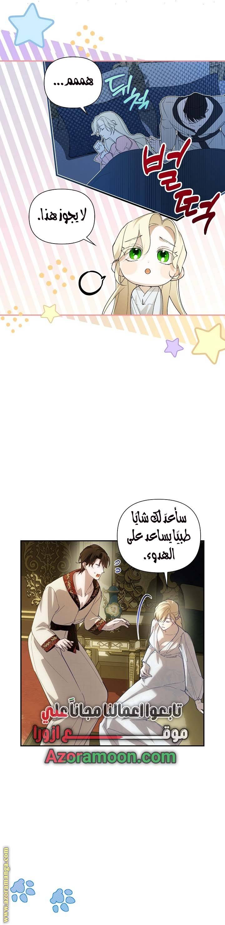 الصفحة 31