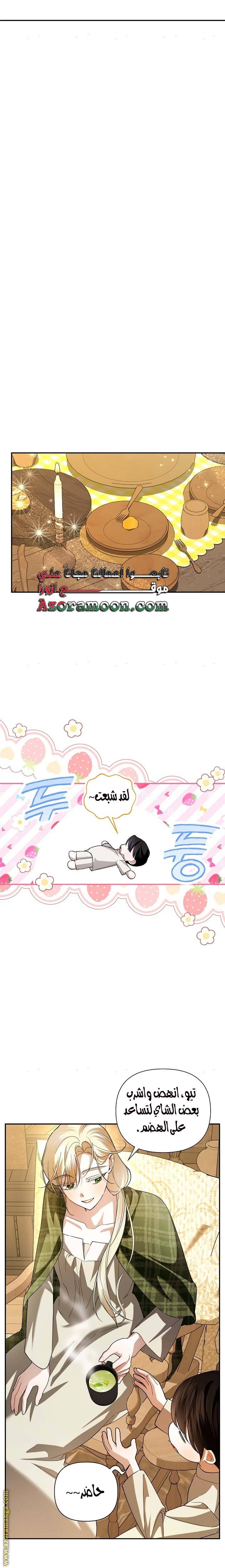 الصفحة 17