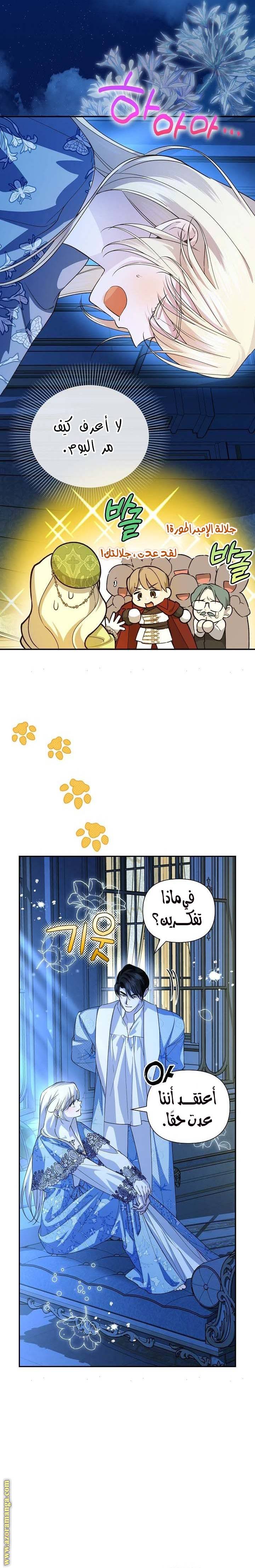 الصفحة 14