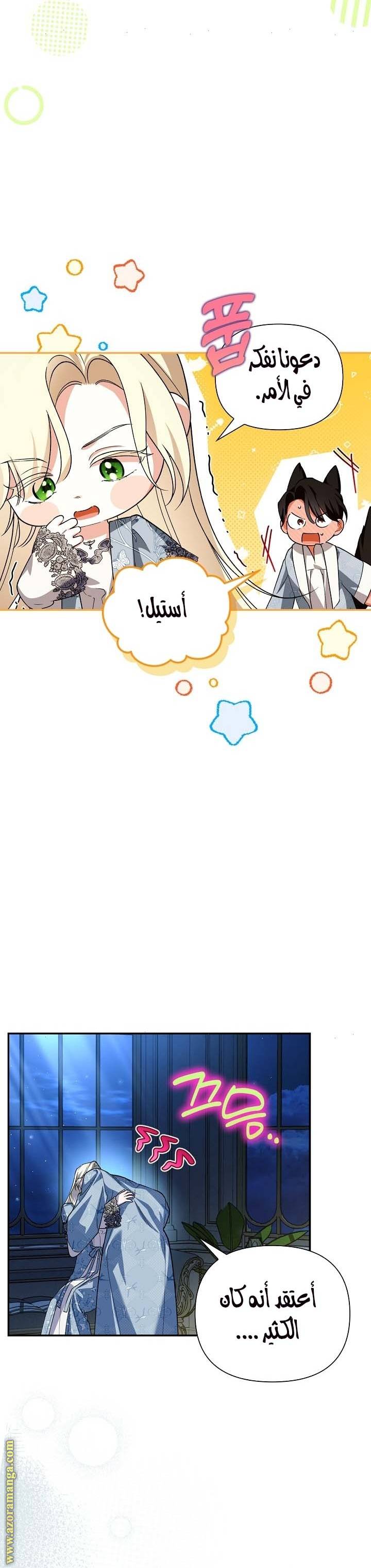 الصفحة 17
