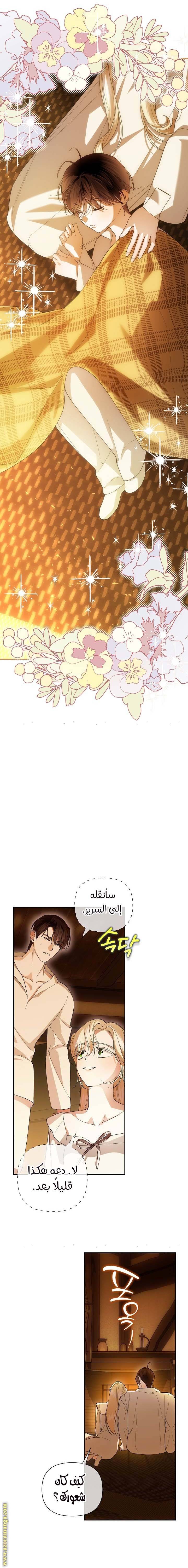 الصفحة 15