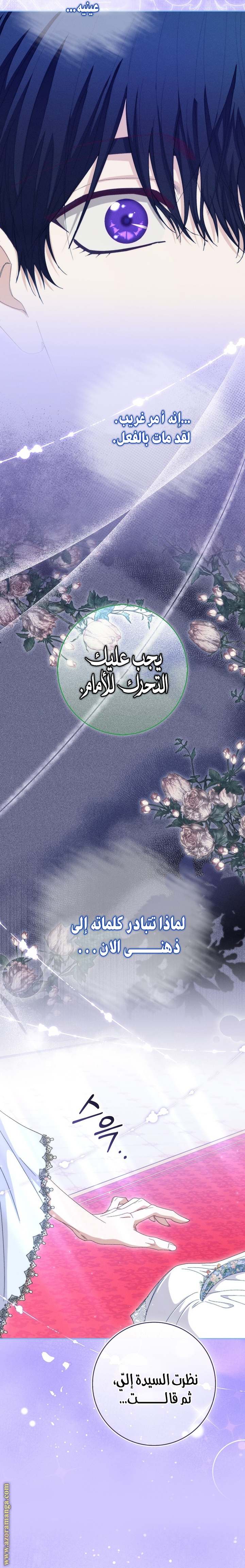 الصفحة 28