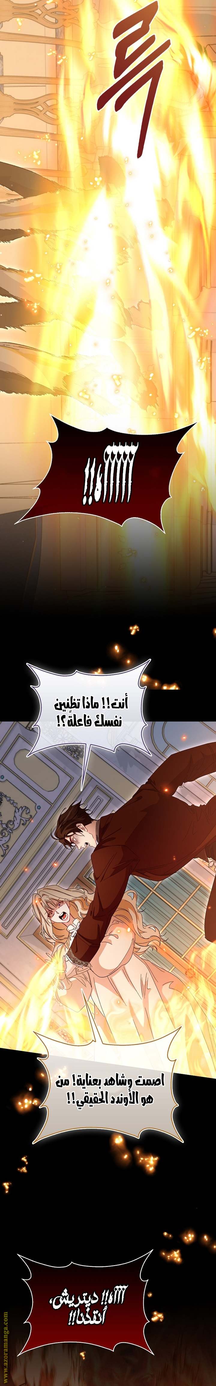 الصفحة 22