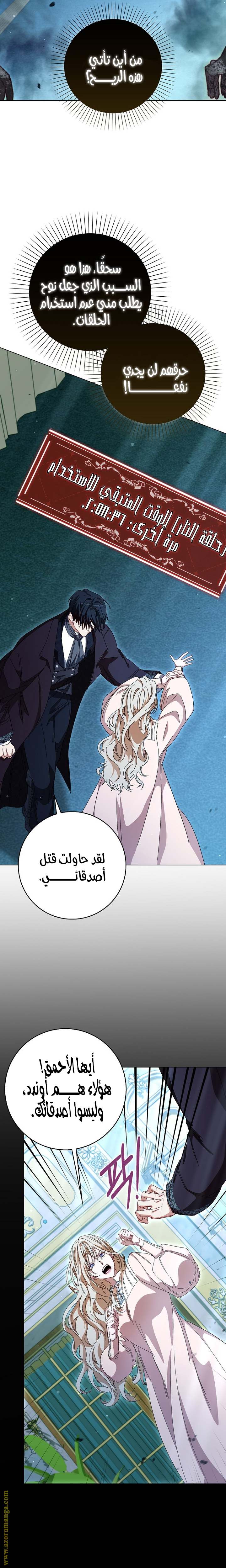 الصفحة 25