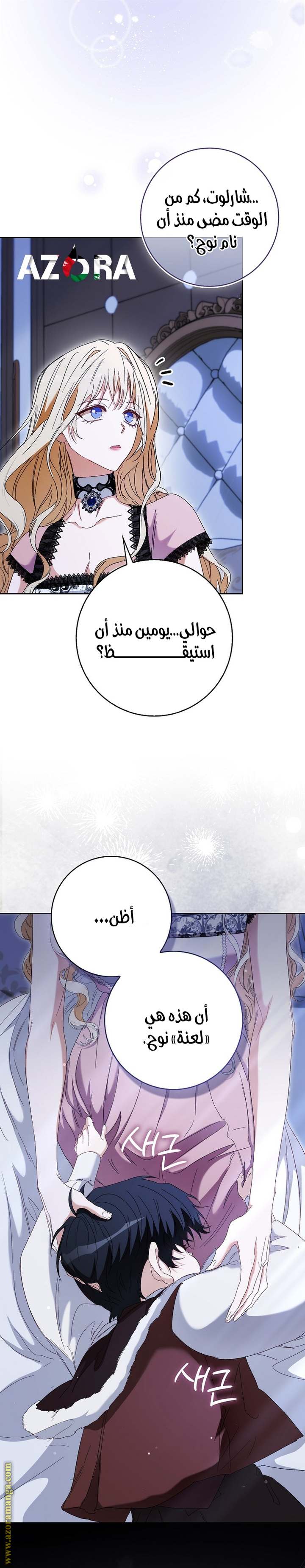 الصفحة 19