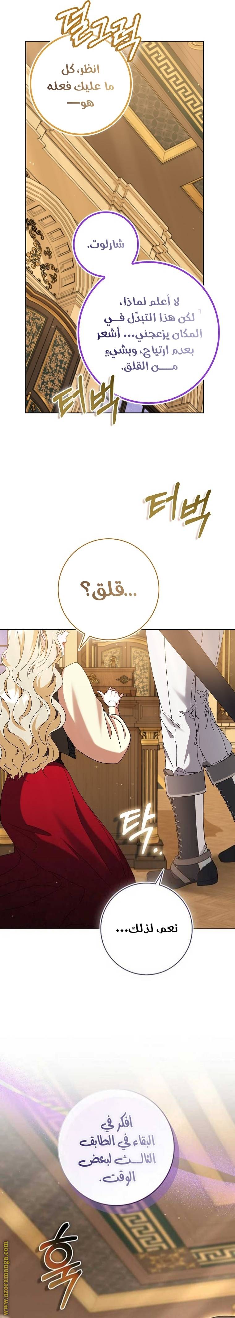 الصفحة 27