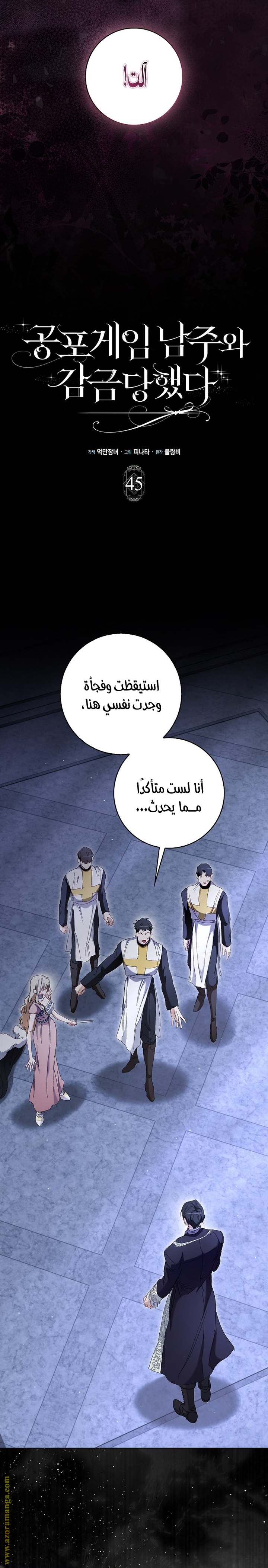 الصفحة 13