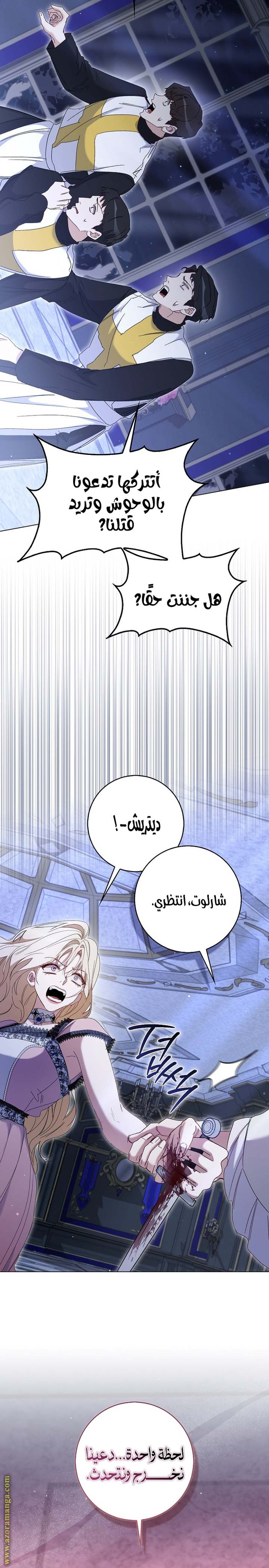 الصفحة 17