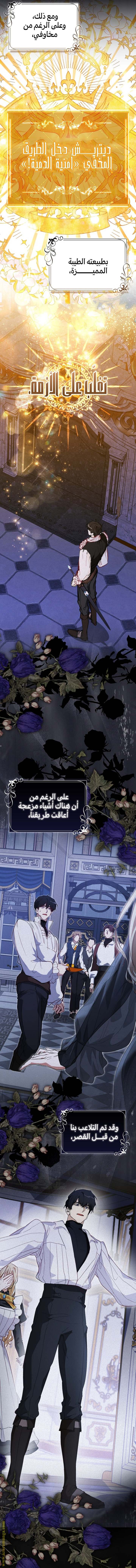 الصفحة 3
