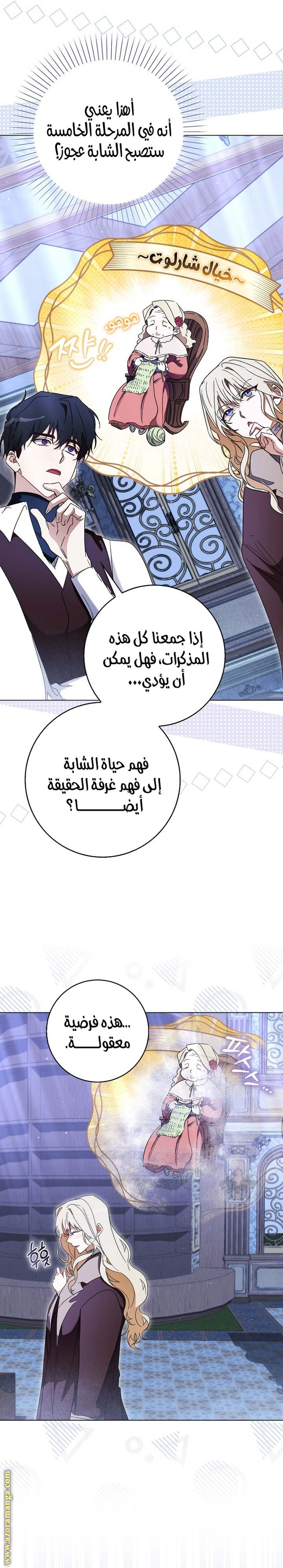 الصفحة 19