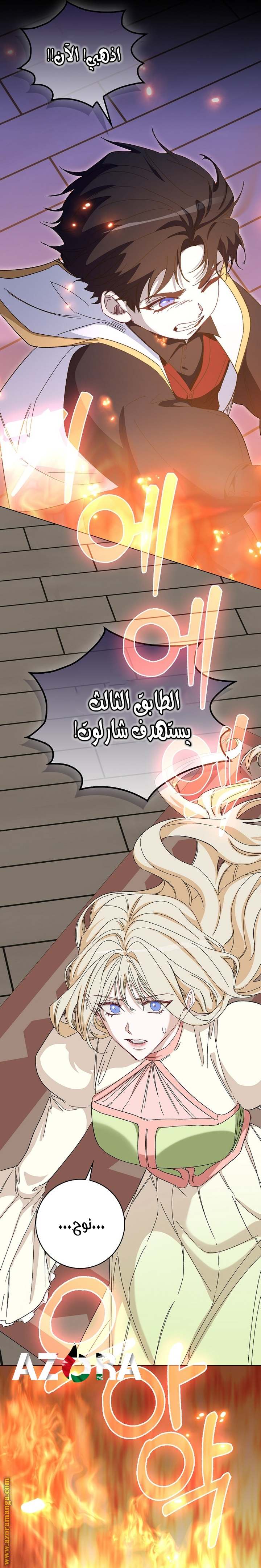 الصفحة 25