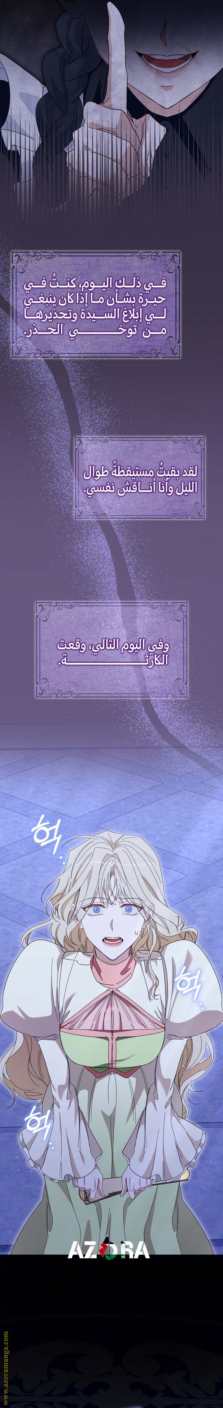 الصفحة 33