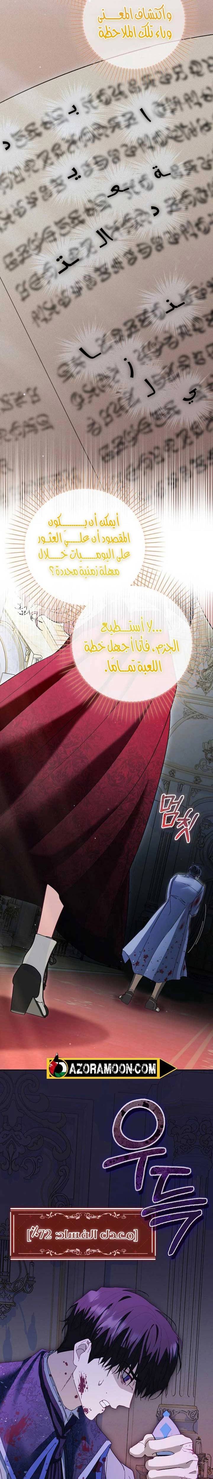 الصفحة 13