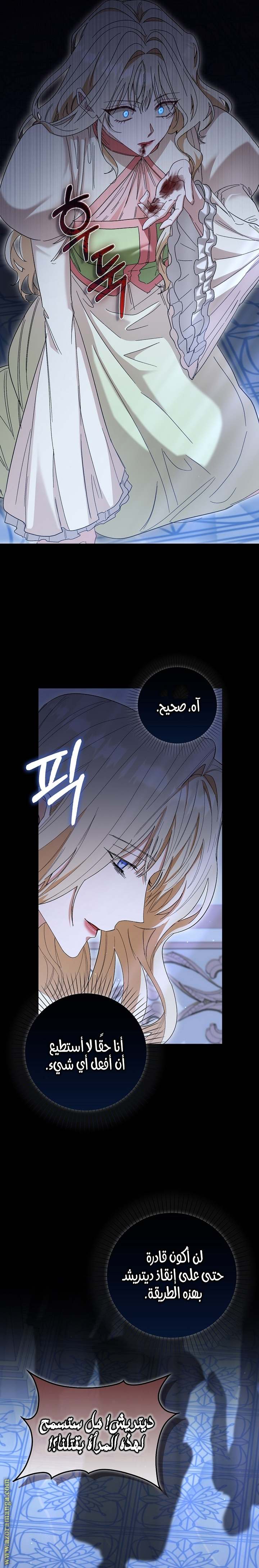 الصفحة 22