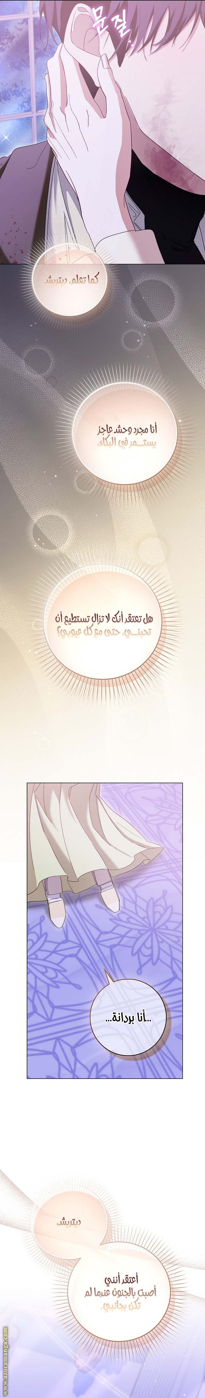 الصفحة 17
