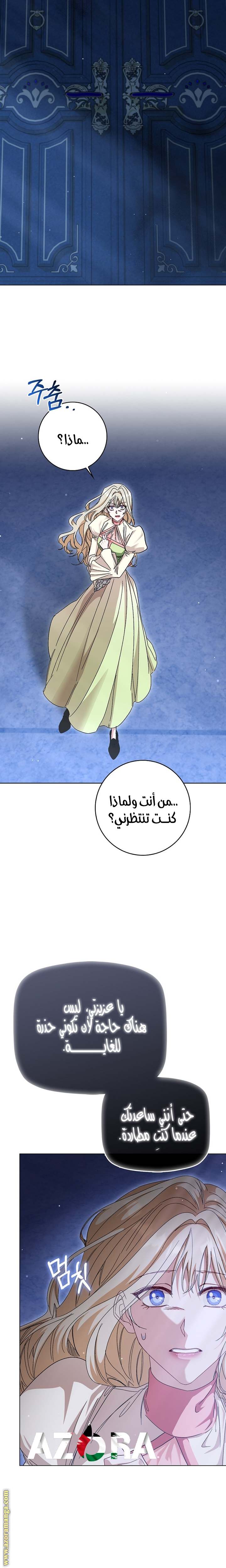 الصفحة 17