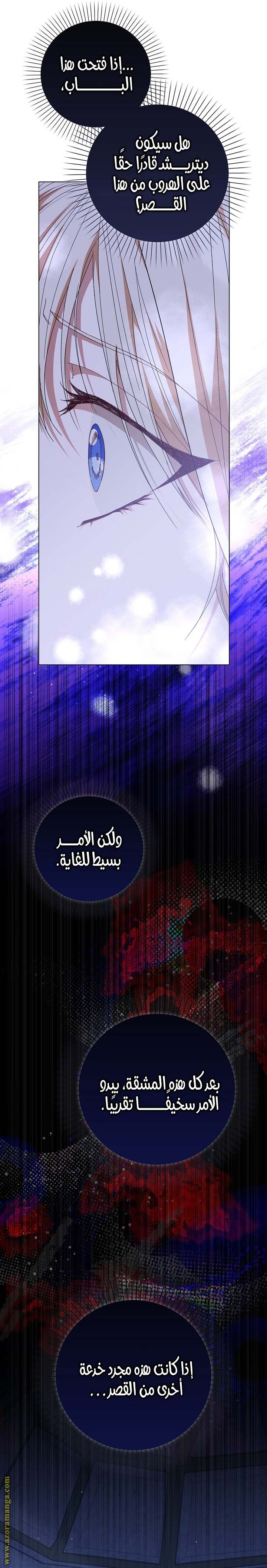 الصفحة 24