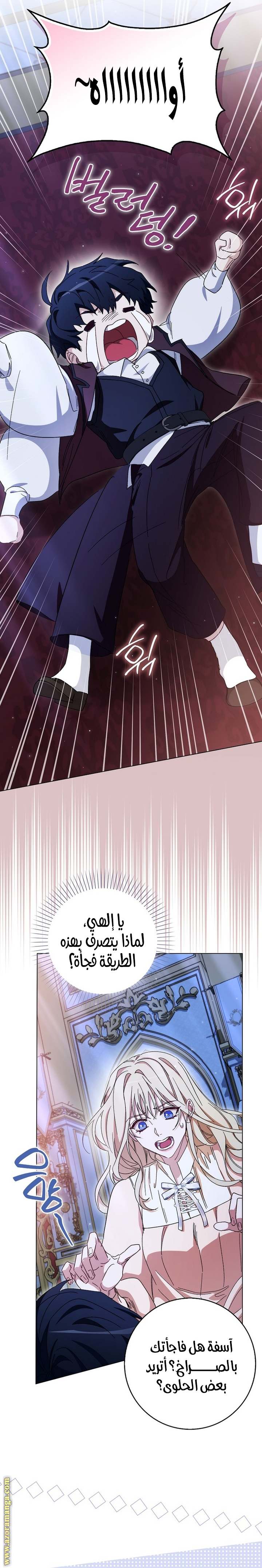 الصفحة 13