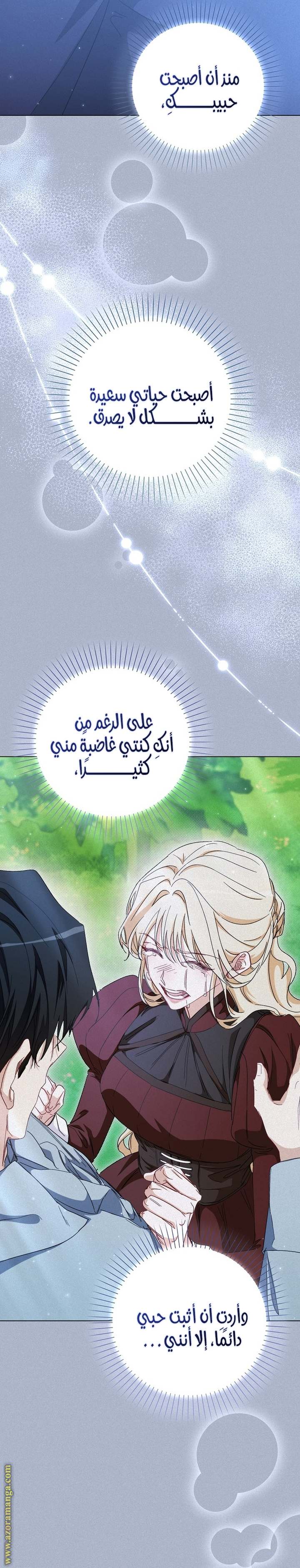 الصفحة 21