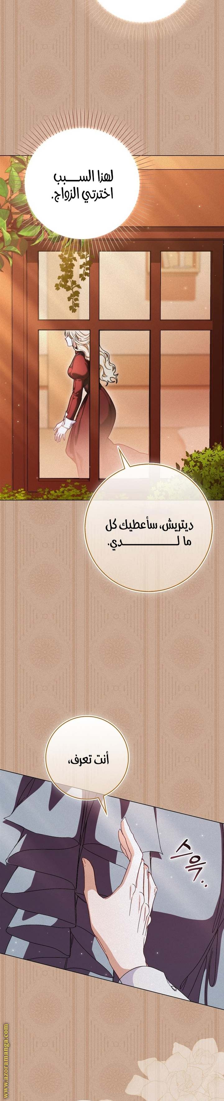 الصفحة 27